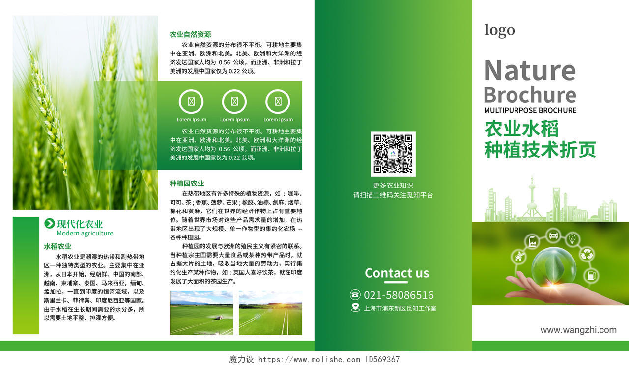 绿色创意简洁绿色农业宣传四折页设计农业折页